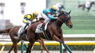 【オークス・馬体重】エンブロイダリーは482kg(±0)、アルマヴェローチェは490kg(-6)