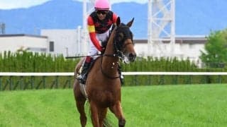 【JRA・WIN5】本日のWIN5は的中166票、配当325万9270円