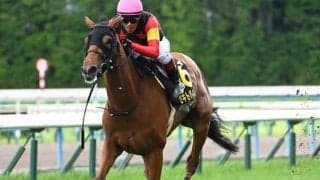 【都大路S結果】8番人気セキトバイーストがV 2着15番人気で3連単167万2190円