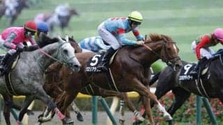 【フリーウェイS】良血グロリアラウスがオープン入り