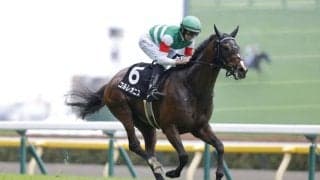 【調布特別】ハープスターの半弟が断然の人気に応えて快勝