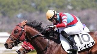 【葵S】レイピア、アメリカンビキニらが登録