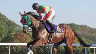 ダートグレード競走5勝のラプタスが登録抹消 今後は乗馬に