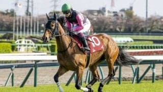 【葵S登録馬】ムイなど22頭