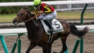 史上初の青葉賞からダービー制覇へ ファイアンクランツが挑む