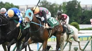 【葵S見どころ】重賞実績が光るダンツエラン