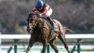 【目黒記念見どころ】近走の活躍が目覚ましいスティンガーグラスに注目