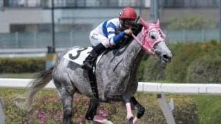 ルーキー中山遥人騎手が初勝利 珍名馬スモモモモモモモモ導く