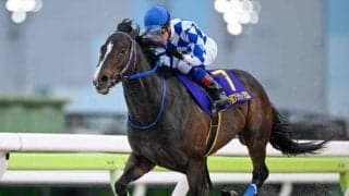 【浦和・プラチナC枠順】前々走でフジノウェーブ記念を圧勝したイグザルトは5枠5番