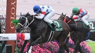 【平安S】売上は41億2086万3900円で昨年より約3.3億円増加