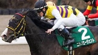 【日本ダービー】西山茂行オーナーが初制覇なるか 京成杯覇者のニシノエージェントで一発狙う