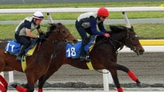 千葉サラブレッドセール 最高額はナダル産駒「フクシアの2023」で8000万円