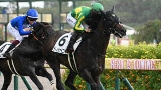 【AI予想・日本ダービー】皐月賞組を軽視するのは禁物！ 人工知能が選ぶ本命候補3頭