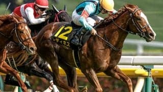 【日本ダービー】最年長ダービージョッキーが記録更新なるか 横山典弘騎手がレディネスで連覇狙う