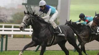 【目黒記念想定騎手】アドマイヤテラは武豊騎手、スティンガーグラスはC.ルメール騎手