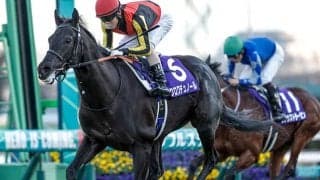 【日本ダービー想定騎手】クロワデュノールは北村友一騎手、ミュージアムマイルはD.レーン騎手