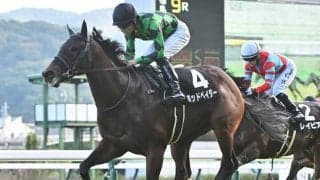 【葵S展望】OP2勝のポッドベイダーが中心