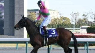 日本でも多くの活躍馬を出す「スキャットダディ」の血