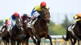 東西どちらかが上位独占？万博開催年×日本ダービーの共通項とは