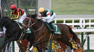 【日本ダービー過去10年傾向】前走皐月賞組が圧倒的 別路線では毎日杯組に注目