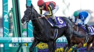 【日本ダービー予想オッズ】クロワデュノールが予想1番人気