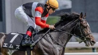 【日本ダービー】現役最多出走頭数の池江泰寿調教師 エムズで14年ぶり2勝目なるか