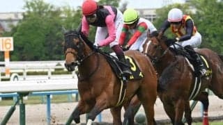 【葵S予想オッズ】ムイが予想1番人気