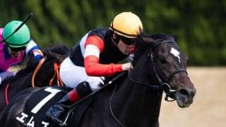 【日本ダービー展望】好走データに当てはまる波乱の使者エムズが世代の頂点へ