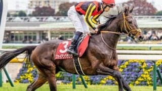 【日本ダービー】堀宣行厩舎が現役最多タイの3勝目なるか 青葉賞2着のファイアンクランツで一発狙う
