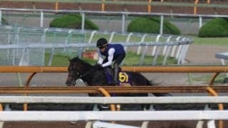 ジュンブロッサムなど、安田記念1週前追い切り速報/栗東トレセンニュース