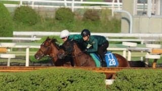 ベラジオオペラ、宝塚記念2週前追い切り速報/栗東トレセンニュース