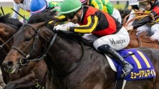 【日本ダービー】史上2頭目の異なる騎手での牡馬二冠制覇へ 皐月賞馬のミュージアムマイルはレーン騎手と初コンビだ