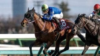 【日本ダービー】登録20頭の香港馬名と馬名意味を紹介 「自家專屬」「草地法師」はどの馬？