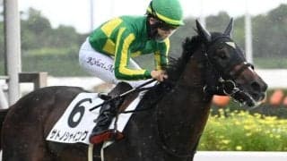 【日本ダービー予想】AIは絶好の狙い目の馬を推奨 直近のパフォーマンスへの評価がポイントに