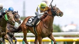 【目黒記念展望】府中の長丁場でニシノレヴナントが重賞初Vに挑む