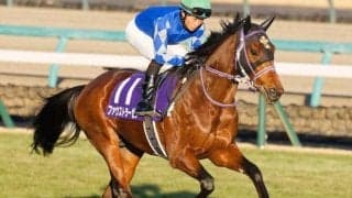 ファウストラーゼン、ドラゴンブーストの2頭にかかる記録 皐月賞から史上最大の巻き返しなるか