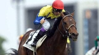 日本ダービー着差ランキングTOP5 ディープインパクトらを超える“6馬身差”の1位とは？