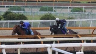 ソウルラッシュなど、安田記念1週前追い切り速報/栗東トレセンニュース