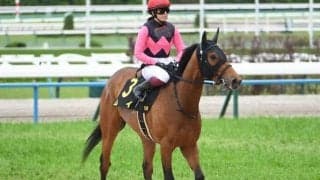 【葵S出走馬・騎手確定】ムイ＆今村聖奈騎手、ウイントワイライト＆A.シュタルケ騎手など16頭