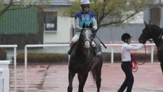 【目黒記念出走馬・騎手確定】アドマイヤテラ＆武豊騎手、スティンガーグラス＆C.ルメール騎手など18頭