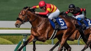 【宝塚記念】ファン投票最終発表 1位はベラジオオペラで22万8950票！