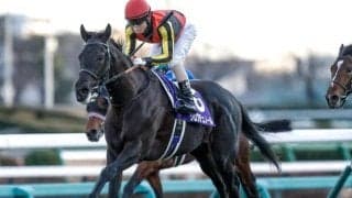 【日本ダービー・調教後馬体重】クロワデュノールは502kg、ミュージアムマイルは504kg