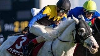 【目黒記念】9歳でも元気 「白毛のアイドル」ハヤヤッコが重賞4勝目なるか