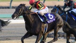 【日本ダービー】北村友一騎手がクラシック初制覇なるか 皐月賞2着のクロワデュノールで巻き返しだ