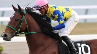 半兄は名馬キタサンブラック キングクーが2年2カ月ぶりVなるか