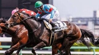 【葉山特別】半兄は名馬イクイノックス ガルサブランカが連勝なるか