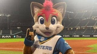 北海道を盛り上げるマスコット…苦手は「ビジター遠征」　田宮、奈良間と仲良し
