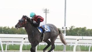 ベストウォーリア産駒のエイシンリガーズが逃げ切りV 門別でウィナーズチャレンジI競走