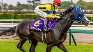 ついに今年生まれるか 史上初の父仔3代日本ダービー制覇へ8頭が出走