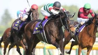 半姉は16年オークス馬のシンハライト エンベッカがデビュー勝ちなるか